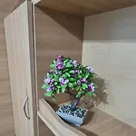 Apartamento Expo Transilvania Zone *