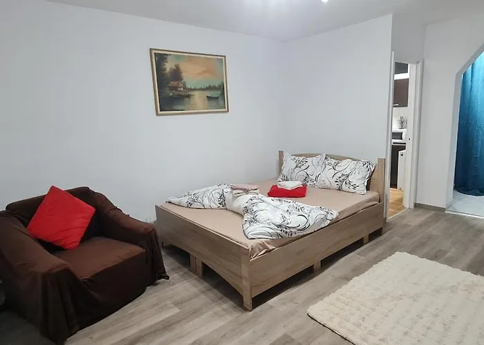 Expo Transilvania Zone Apartment