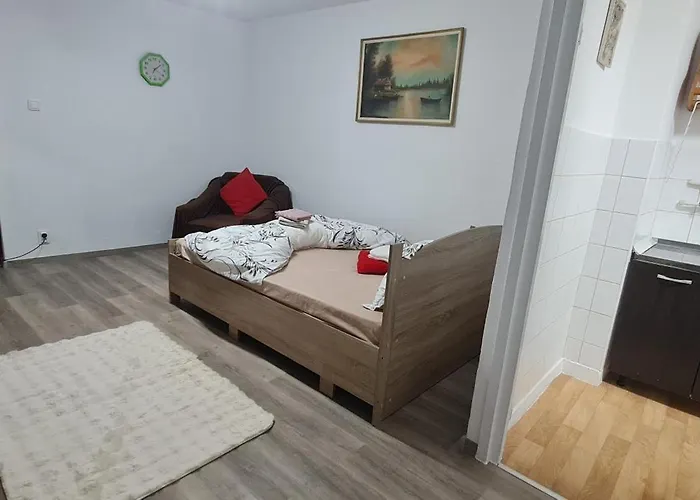 Expo Transilvania Zone Apartment