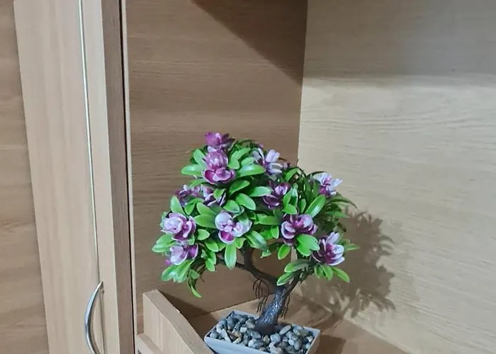 Apartment Expo Transilvania Zone *